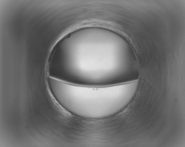 X0000073491522200607310903