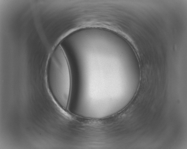 X0000073491525200607310904