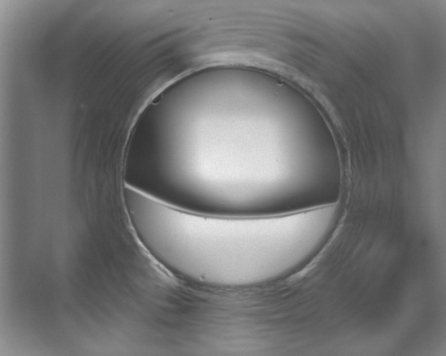 X0000073491529200607310904