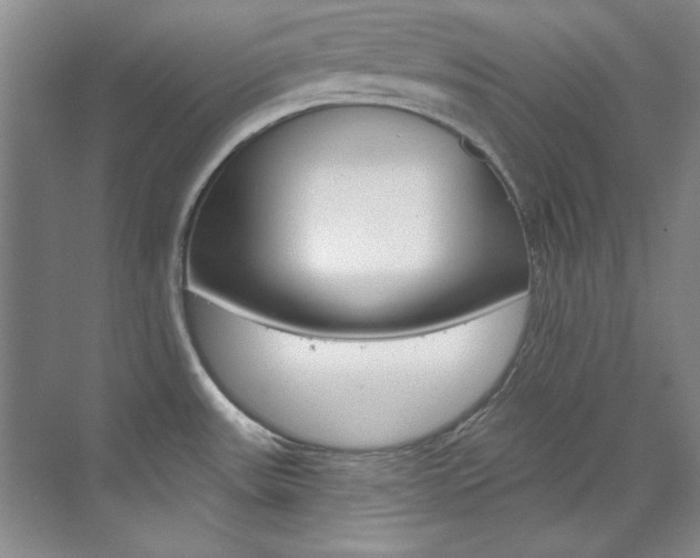 X0000073491531200607310904