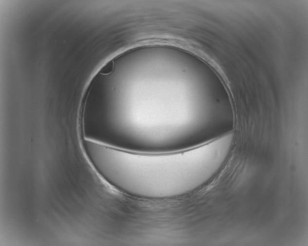X0000073491533200607310904