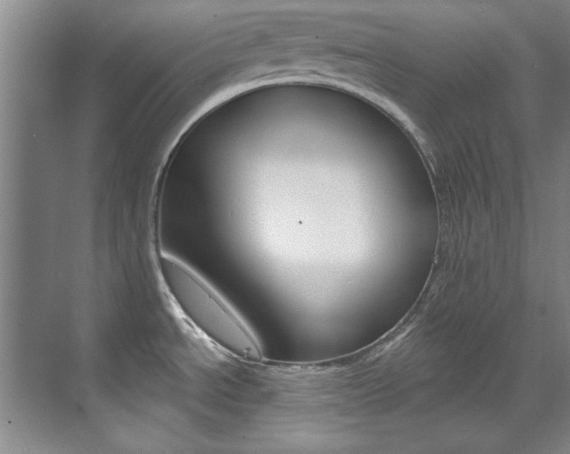 X0000073491534200607310904