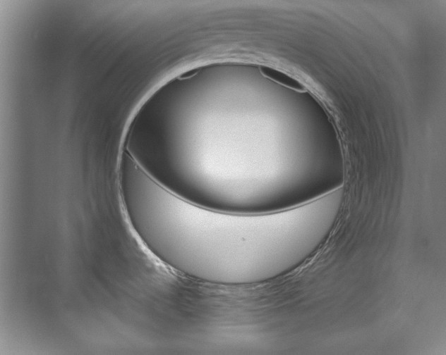 X0000073491536200607310904