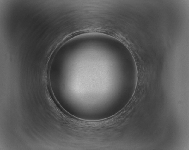 X0000073490002200607311239