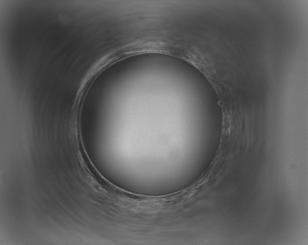 X0000073490004200607311238