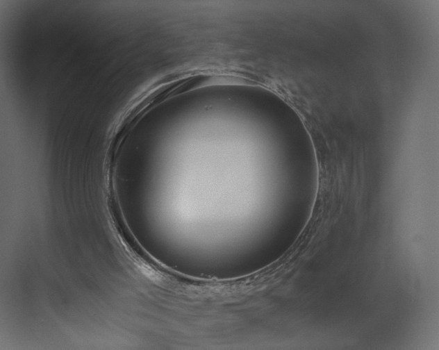 X0000073490005200607311238