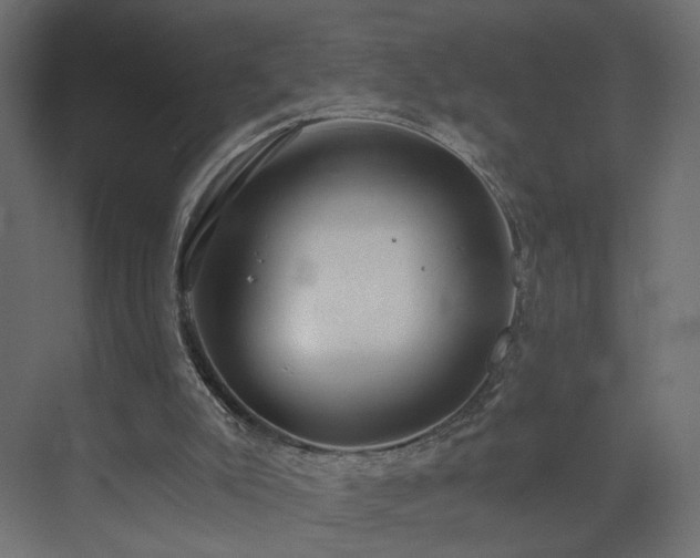 X0000073490007200607311238