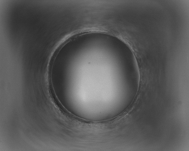 X0000073490008200607311238