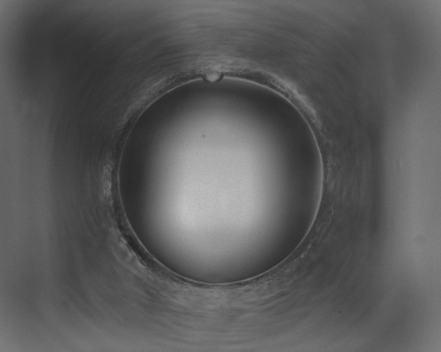 X0000073490010200607311238