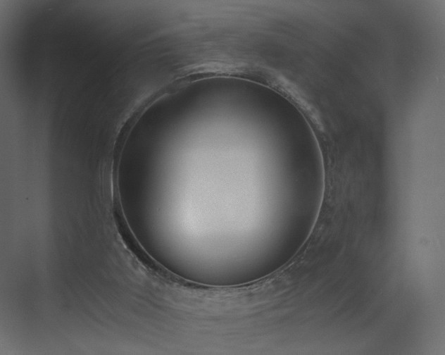 X0000073490011200607311238