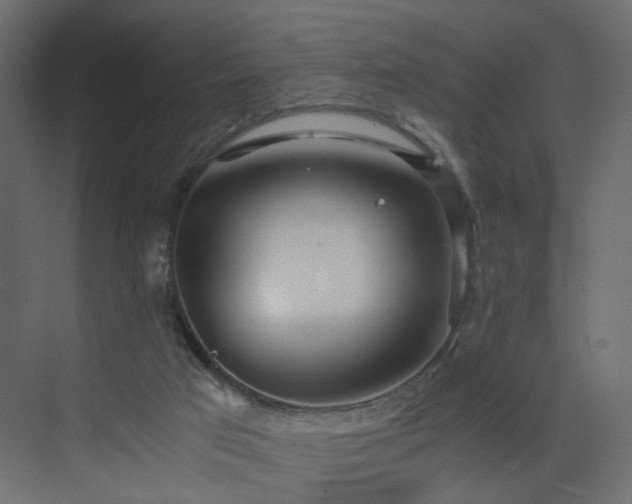 X0000073490017200607311238