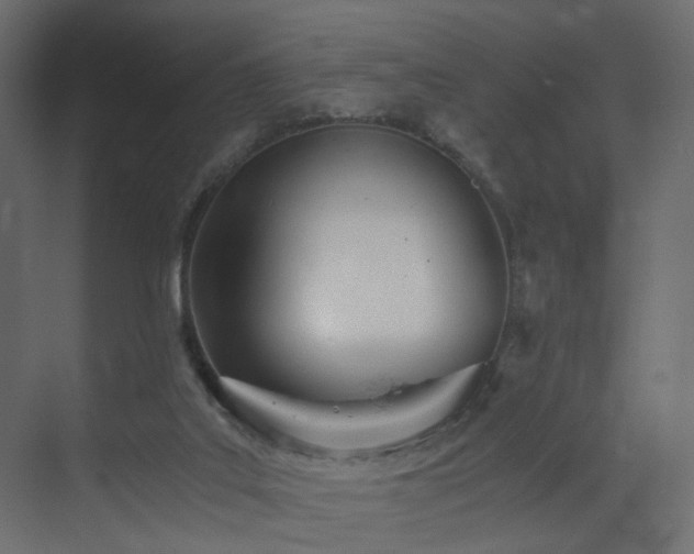 X0000073490019200607311238