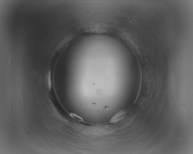 X0000073490020200607311238