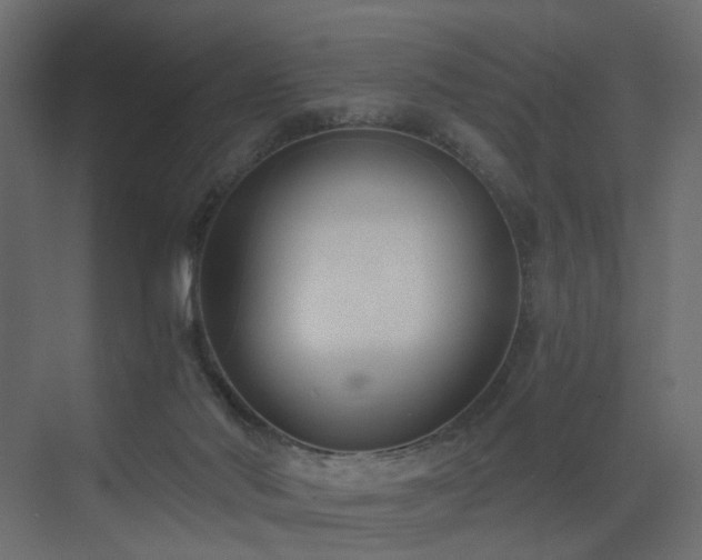 X0000073490022200607311238