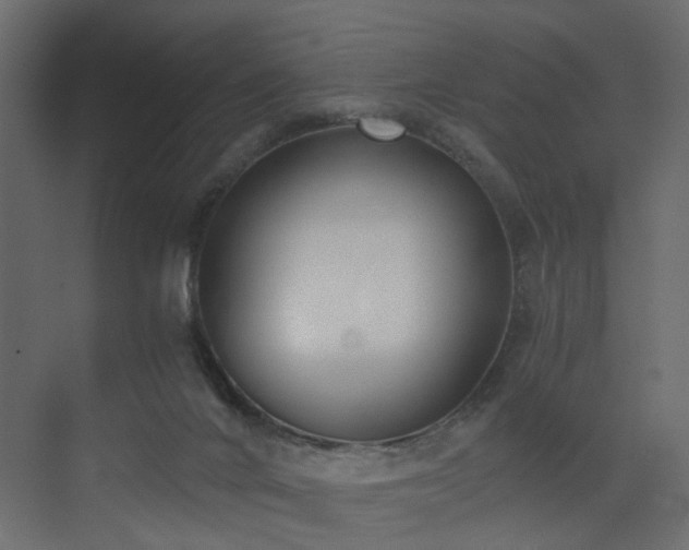 X0000073490024200607311238