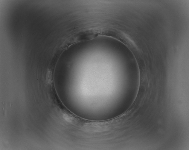 X0000073490025200607311238