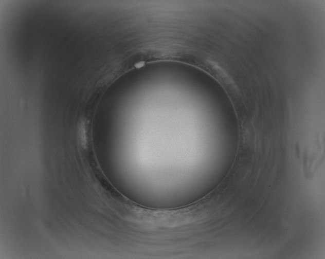 X0000073490026200607311238