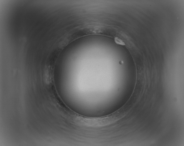 X0000073490030200607311238