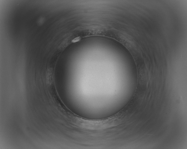 X0000073490034200607311238