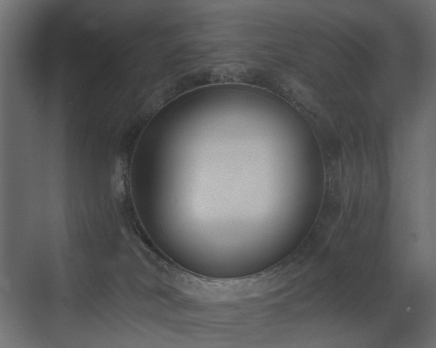 X0000073490038200607311238