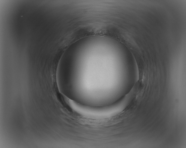 X0000073490039200607311238