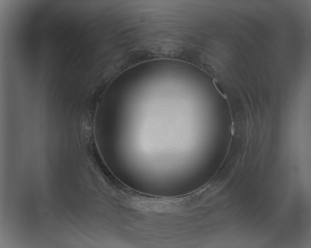X0000073490040200607311238