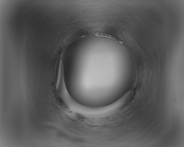 X0000073490041200607311238