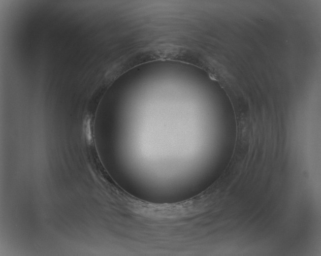 X0000073490042200607311238