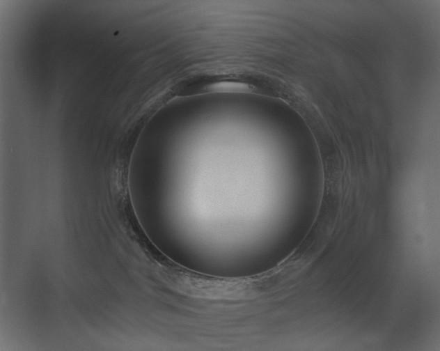 X0000073490044200607311238