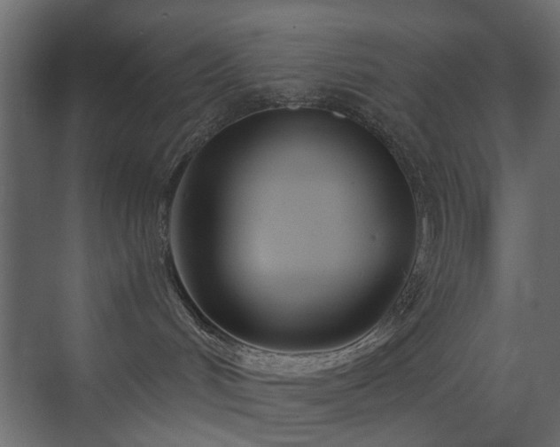 X0000073490048200607311238