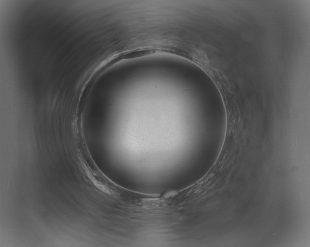 X0000073490050200607311237