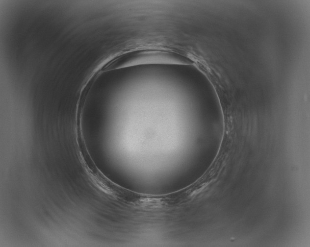 X0000073490052200607311237