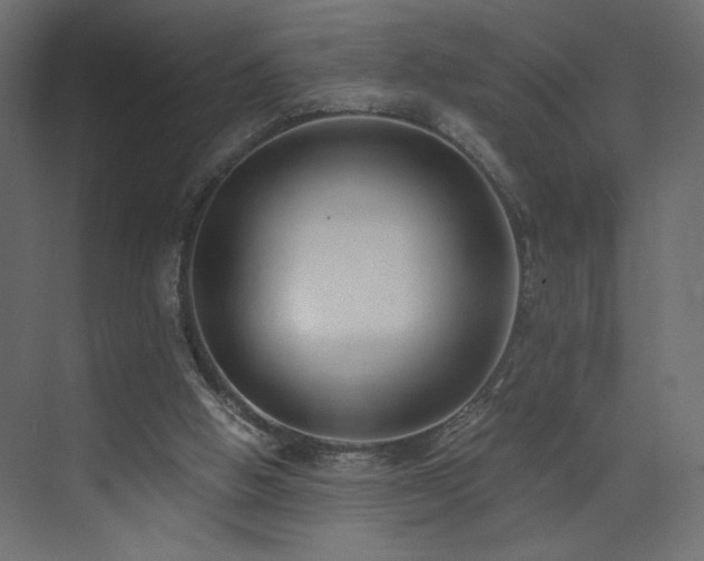 X0000073490058200607311237