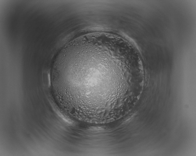 X0000073490061200607311237