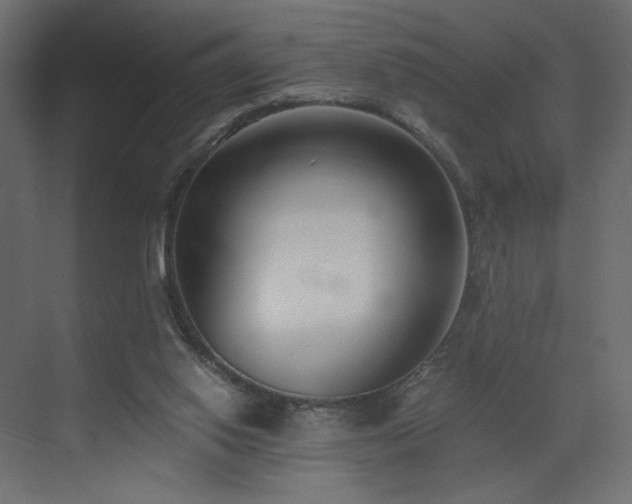X0000073490062200607311237