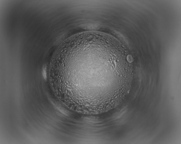 X0000073490069200607311237