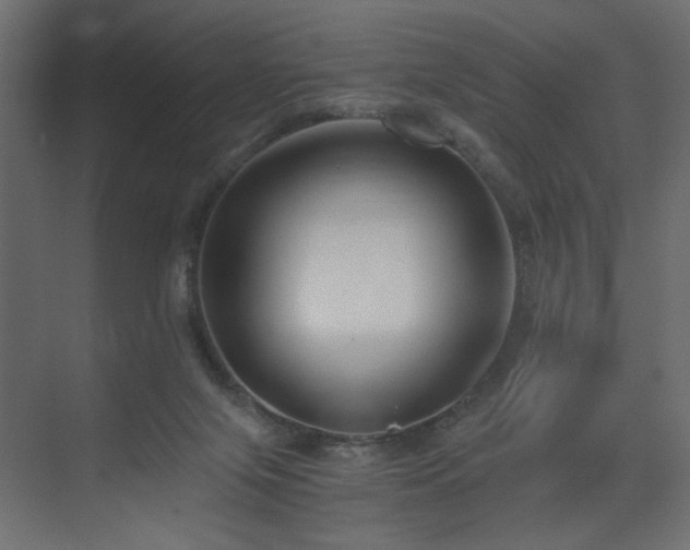 X0000073490071200607311237