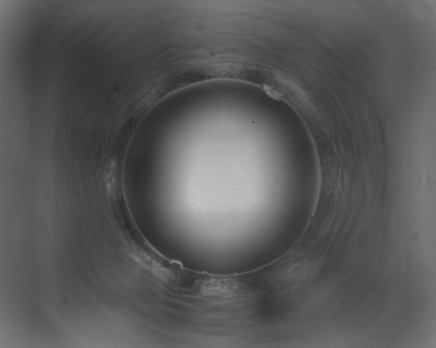 X0000073490077200607311237