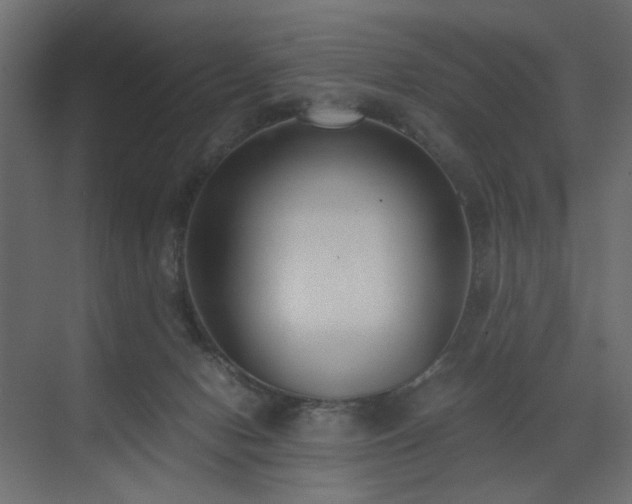 X0000073490078200607311237