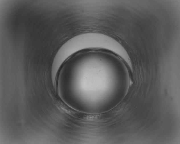 X0000073490084200607311238