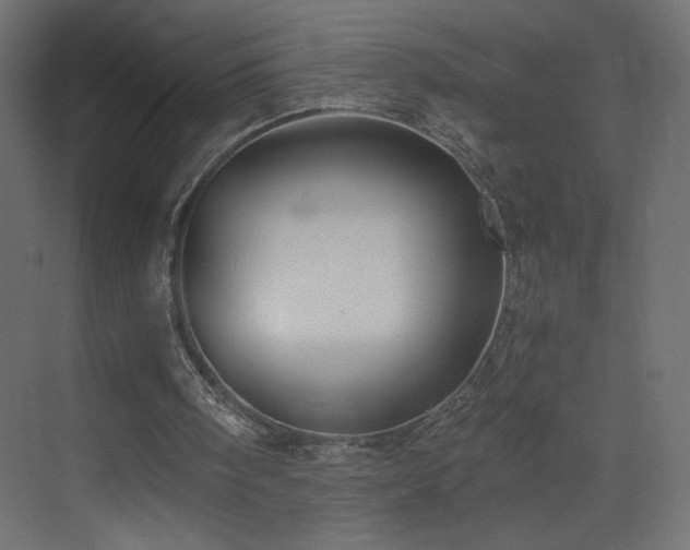 X0000073490098200607311237