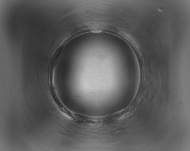 X0000073490105200607311237