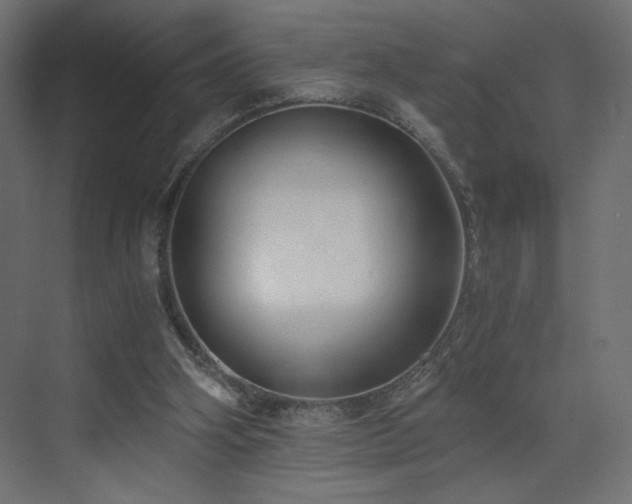 X0000073490106200607311237