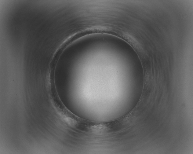 X0000073490112200607311237