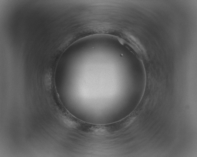 X0000073490113200607311237