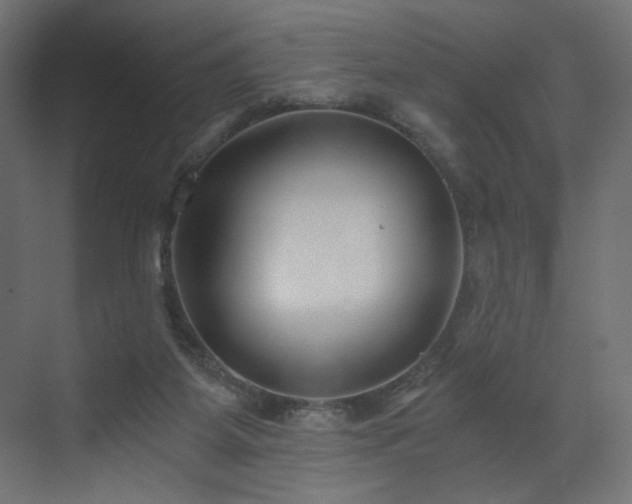 X0000073490115200607311237