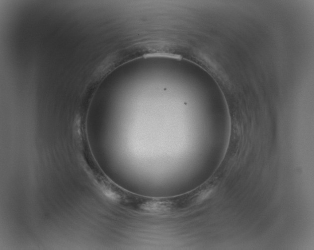 X0000073490117200607311237
