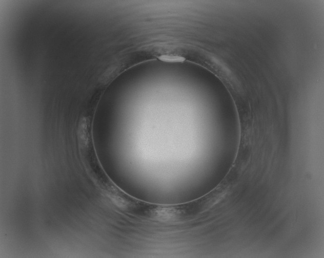 X0000073490121200607311236