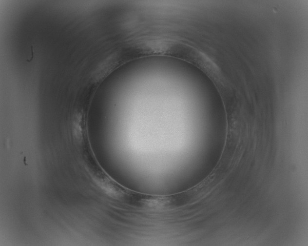 X0000073490122200607311236