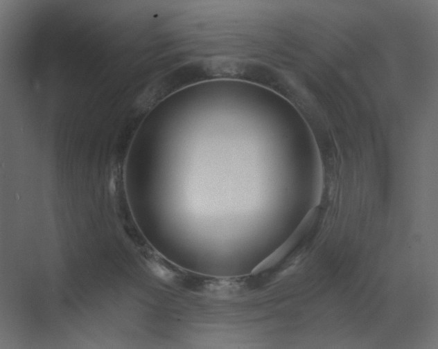 X0000073490125200607311236